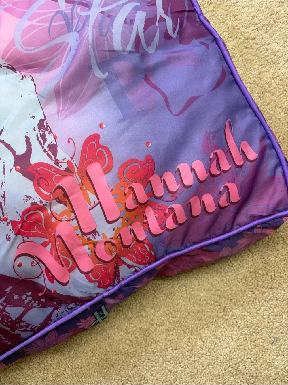 Disney/Hannah Montana hannah montana